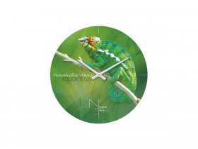 Часы настенные Nicole Time NT503 в Быстровке - bystrovka.mebel-nsk.ru | фото